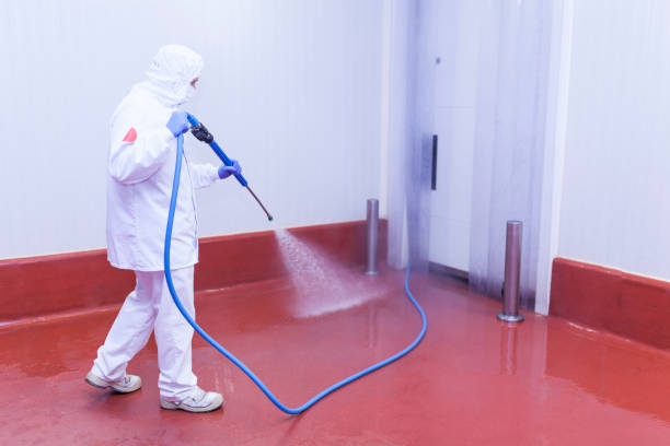 Best Post-Construction Pressure Washing  in Throop, PA